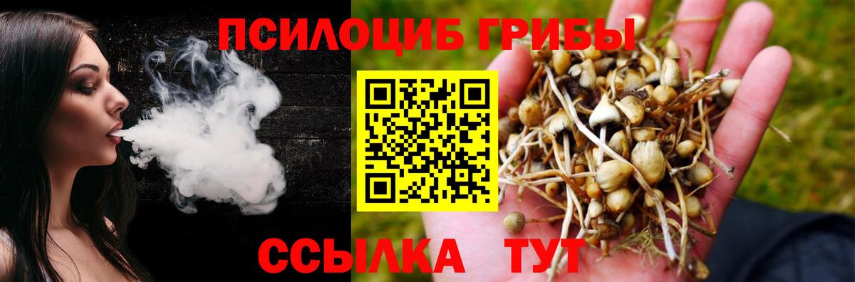 Галлюциногенные грибы Cubensis  Вход с VPN  Псилоцибиновые грибы MAGIC MUSHROOMS  Нижний Тагил 